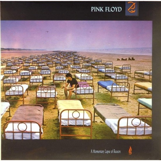 Пластинка Pink Floyd A Momentary Lapse of Reason