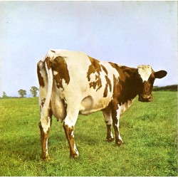 Пластинка Pink Floyd Atom Heart Mother