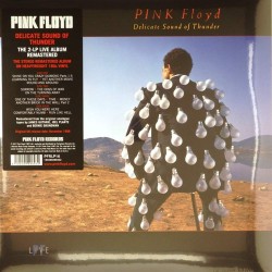 Пластинка Pink Floyd Delicate Sound of Thunder (2 LP)