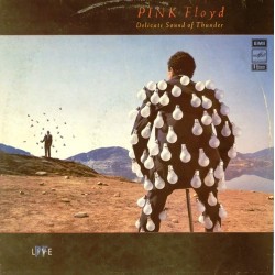 Пластинка Pink Floyd Delicate Sound of Thunder (2 LP)