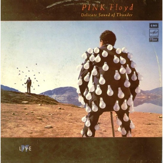 Пластинка Pink Floyd Delicate Sound of Thunder (2 LP)