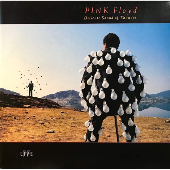 Пластинка Pink Floyd Delicate Sound of Thunder (2 LP)