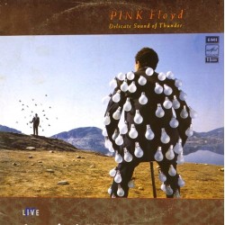 Пластинка Pink Floyd Delicate Sound of Thunder (2 LP)