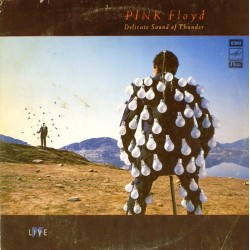 Пластинка Pink Floyd Delicate Sound of Thunder (2 LP)