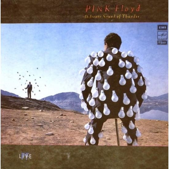 Пластинка Pink Floyd Delicate Sound of Thunder (2 LP)