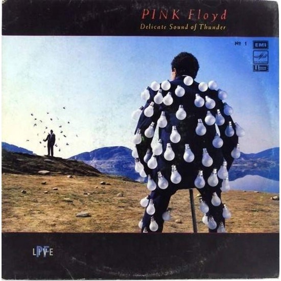 Пластинка Pink Floyd Delicate sound of thunder. N 1