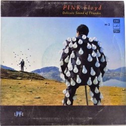 Пластинка Pink Floyd Delicate sound of thunder. N 2