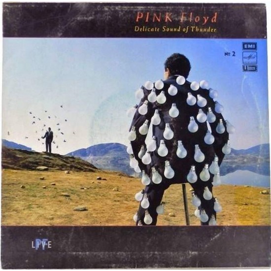 Пластинка Pink Floyd Delicate sound of thunder. N 2