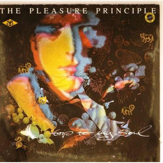 Пластинка Pleasure Principle Trip to my soul