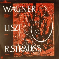 Пластинка Richard Wagner, Franz Liszt, Richard Strauss Wagner Liszt R. Strauss