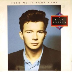 Пластинка Rick Astley Hold me in your arms