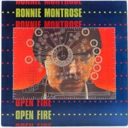 Пластинка Ronnie Montrose Open fire