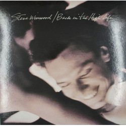 Пластинка Steve Winwood Back in the Night Life