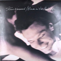 Пластинка Steve Winwood Back in the Night Life