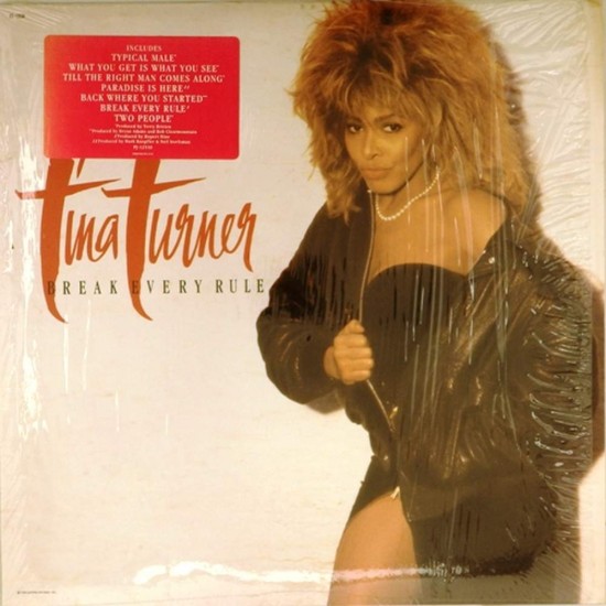 Пластинка Tina Turner Break Every Rule