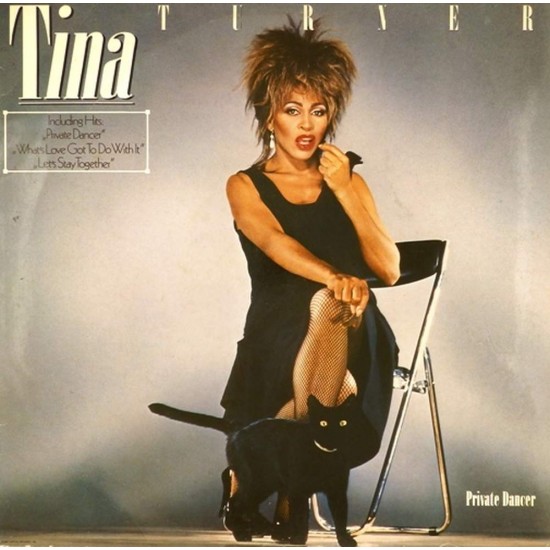 Пластинка Tina Turner Private Dancer