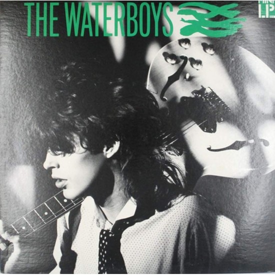 Пластинка Waterboys Waterboys