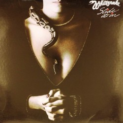 Пластинка Whitesnake Slide it in