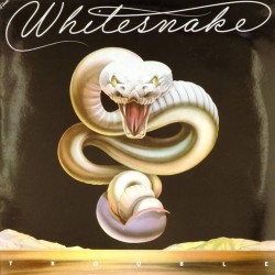 Пластинка Whitesnake Trouble